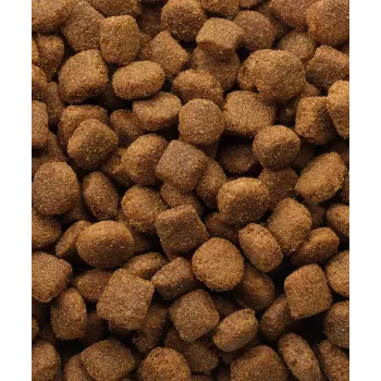 Pienso seco para perros VERSELE-LAGA Lamb & Rice 20 kg — perros adultos, todas las tallas, 22% proteína, 10% grasa