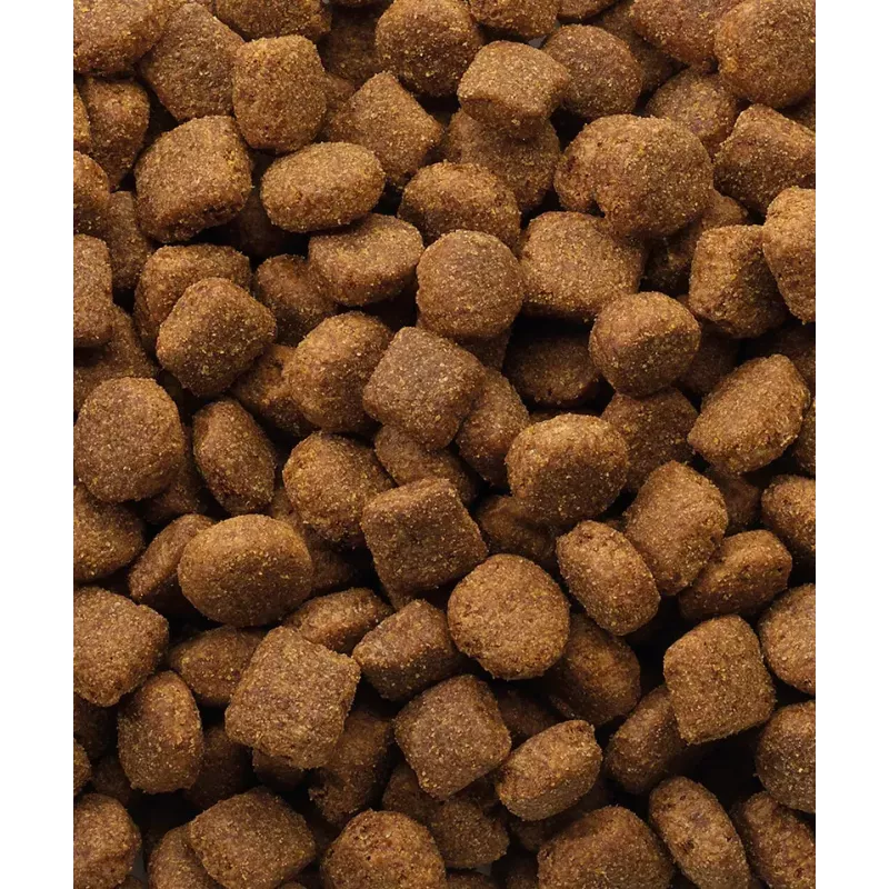 Pienso seco para perros VERSELE-LAGA Lamb & Rice 20 kg — perros adultos, todas las tallas, 22% proteína, 10% grasa