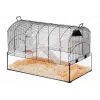 Jaula para roedores ZOLUX NeoPanas XL con cubeta de vidrio, negra, 710×410×490 mm