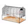 Jaula ZOLUX NeoPanas XL jaula de cristal para roedores, negro, medidas 710×410×490 mm, cubeta de cristal altura 180 mm, incluye 2 estantes, 2 plataformas, comedero, casa, rueda
