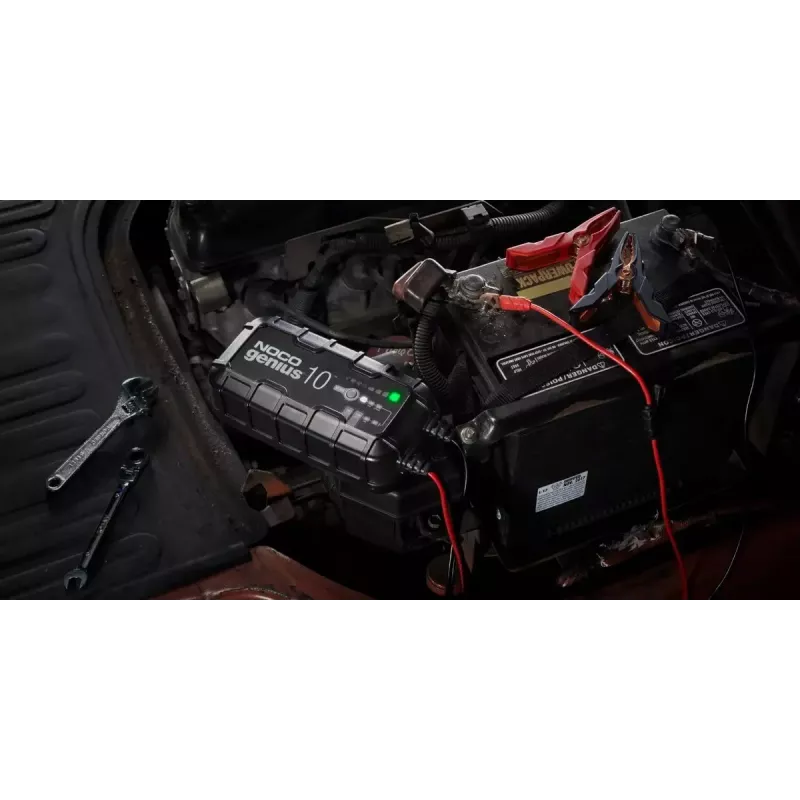 Cargador de batería NOCO GENIUS10 EU 10 A para baterías de 6V y 12V — mantenimiento y desulfatación, 150 W, Li-Ion/AGM/Gel, resistente al agua IPX