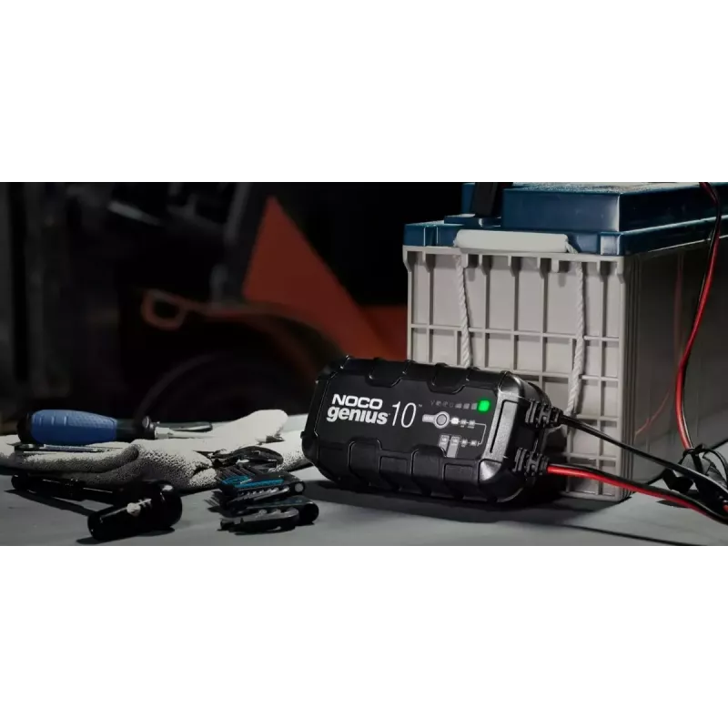 Cargador de batería NOCO GENIUS10 EU 10 A para baterías de 6V y 12V — mantenimiento y desulfatación, 150 W, Li-Ion/AGM/Gel, resistente al agua IPX