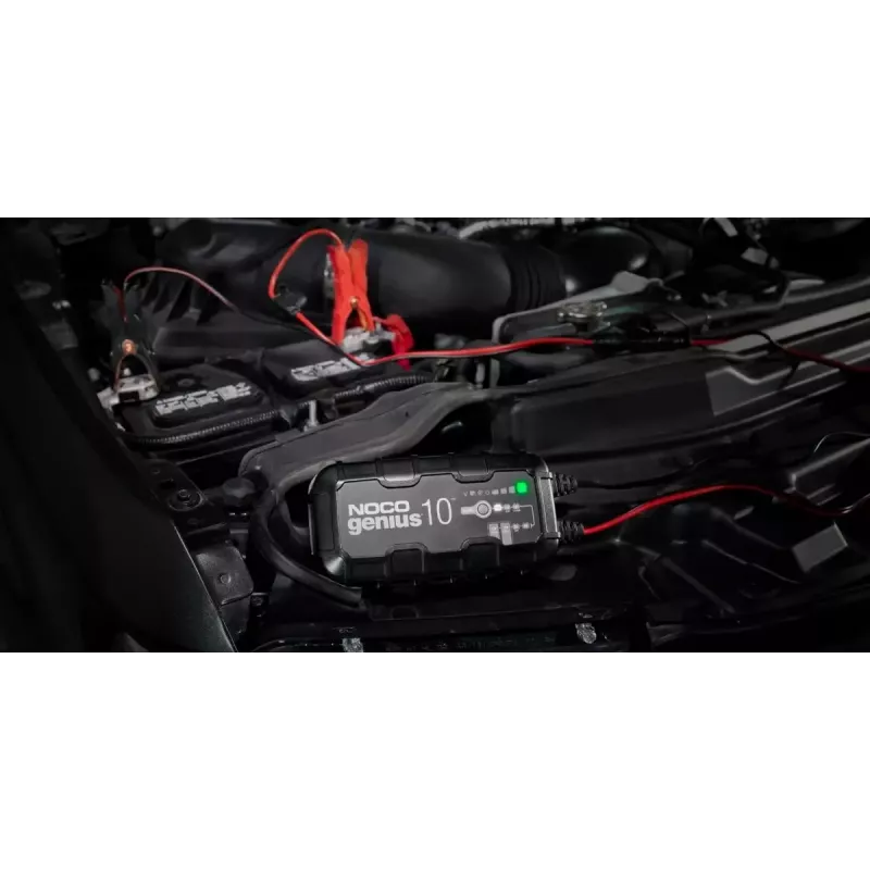 Cargador de batería NOCO GENIUS10 EU 10 A para baterías de 6V y 12V — mantenimiento y desulfatación, 150 W, Li-Ion/AGM/Gel, resistente al agua IPX