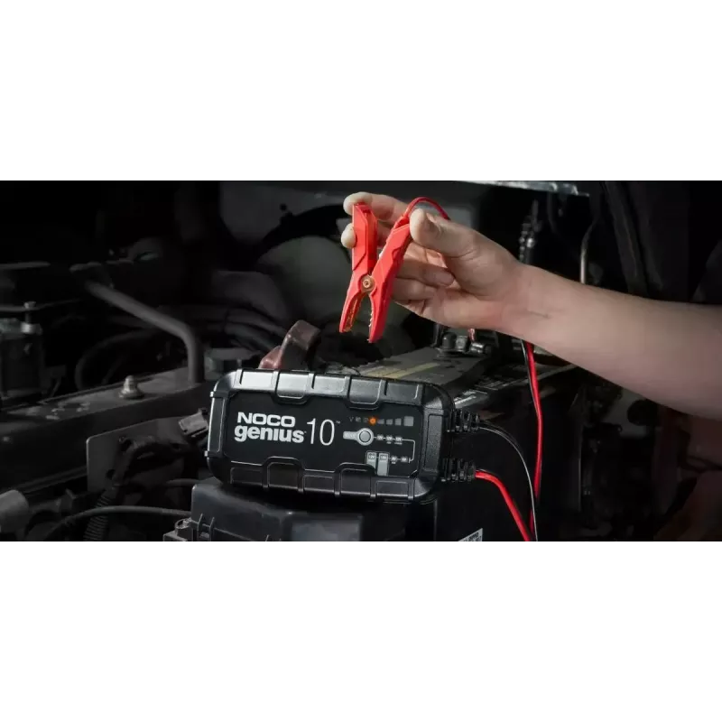 Cargador de batería NOCO GENIUS10 EU 10 A para baterías de 6V y 12V — mantenimiento y desulfatación, 150 W, Li-Ion/AGM/Gel, resistente al agua IPX