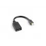 Cable DisplayPort LANBERG Mini DisplayPort - 0,12 m negro