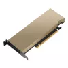 Módulo PNY NVIDIA L4 24GB 1x soporte LP Low Profile con soporte ATX montado PCIe x16 Gen 4.0
