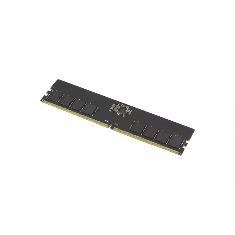 GOODRAM módulo de memoria DIMM DDR5-5600 CL46 de 16 GB (GR5600D564L46S/16G)