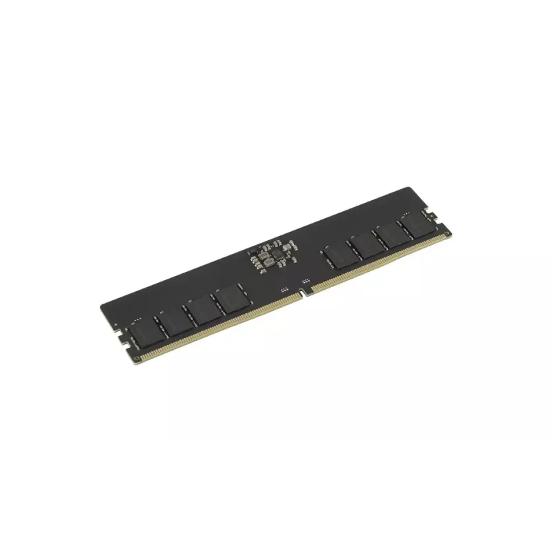 GOODRAM módulo de memoria DIMM DDR5-5600 CL46 de 16 GB (GR5600D564L46S/16G)