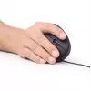 Ratón óptico GEMBIRD MUS-ERGO-01 - ergonómico, 6 botones, rueda, USB, Negro