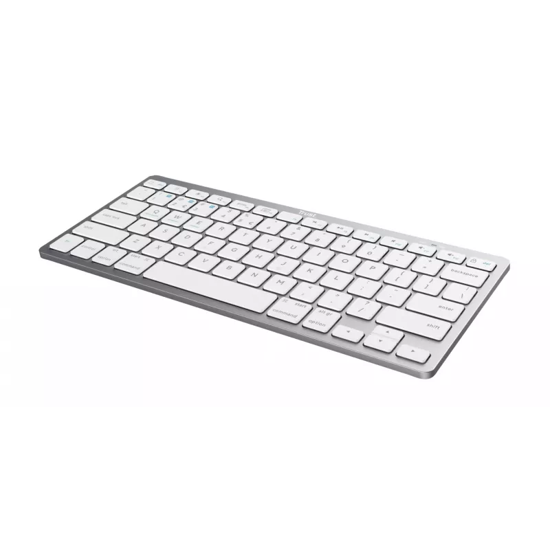 Trust 24651 teclado inalámbrico QWERTY US English, plateado