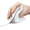 Trust Verto Ratón de oficina para diestros USB Type-A óptico 1600 DPI