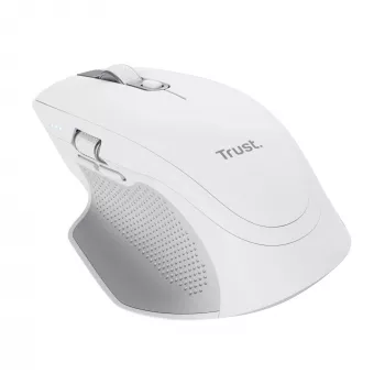 Trust Ozaa+ Ratón, Oficina, Diestro, RF Wireless + Bluetooth 24935