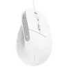 Trust Bayo II Ratón Oficina Diestro USB Type-A Óptico 2400 DPI