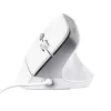 Trust Bayo II Ratón Oficina Diestro USB Type-A Óptico 2400 DPI