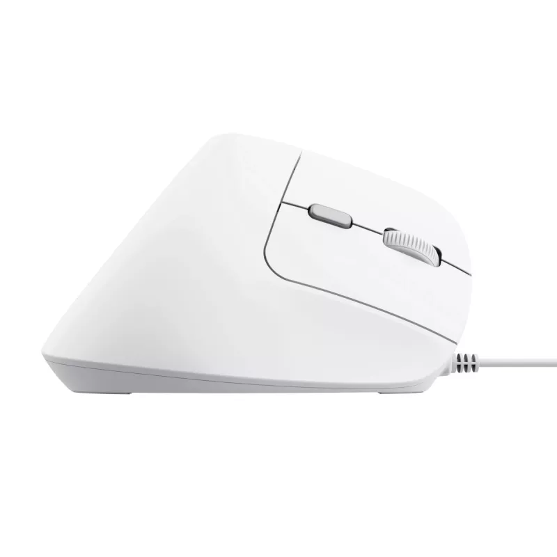 Trust Bayo II Ratón Oficina Diestro USB Type-A Óptico 2400 DPI