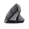 Trust Bayo+ Ratón Oficina Diestro RF Wireless + Bluetooth Óptico 2400 DPI