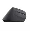 Trust Bayo+ Ratón Oficina Diestro RF Wireless + Bluetooth Óptico 2400 DPI