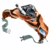 Riñonera DEUTER Hip Sachet Pulse 3 cinturón ajustable — riñonera compacta para actividades al aire libre