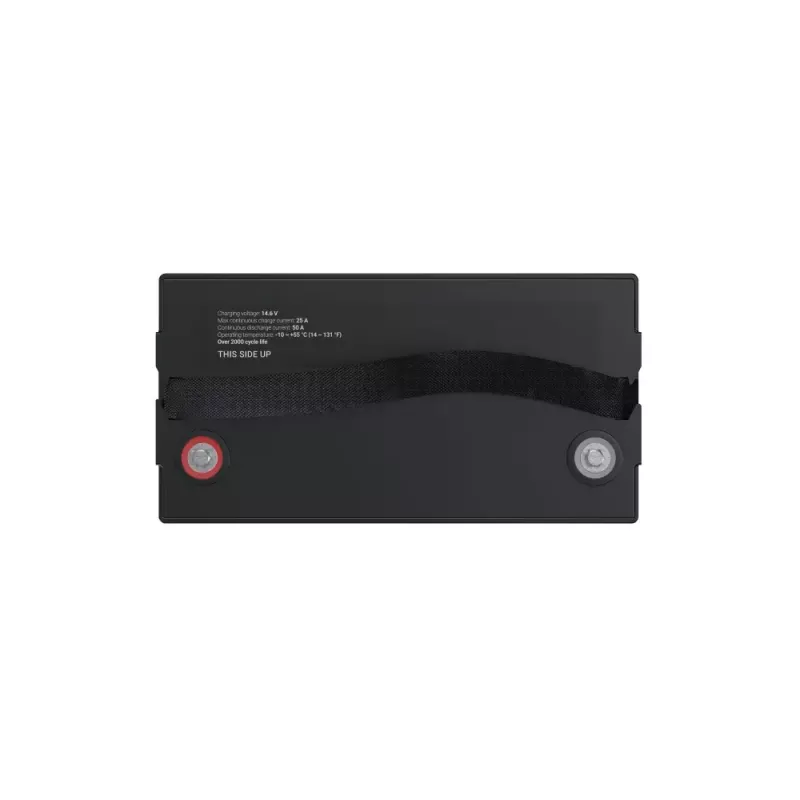 Batería para SAI Green Cell LFPGC12V100AH litio-hierro-fosfato 12,8V 100Ah