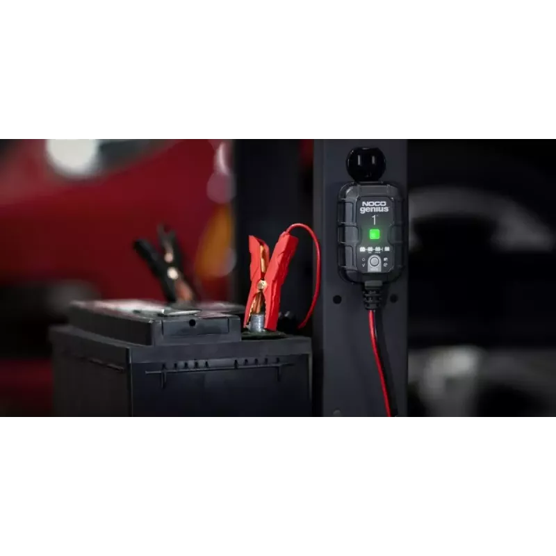 Cargador de baterías NOCO GENIUS1EU 1A cargador inteligente para baterías de plomo-ácido y litio de 12V, diseño compacto