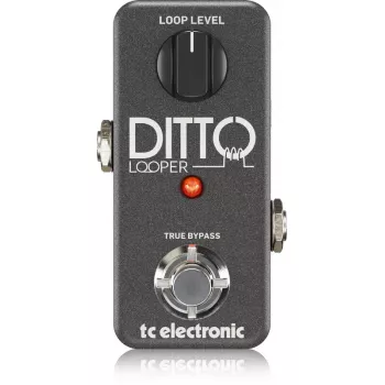 Looper TC Electronic Ditto Looper Negro Guitarra