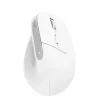 Ratón Trust Bayo+ oficina diestro RF inalámbrico + Bluetooth óptico 2400 DPI