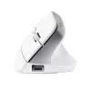 Ratón Trust Bayo+ oficina diestro RF inalámbrico + Bluetooth óptico 2400 DPI