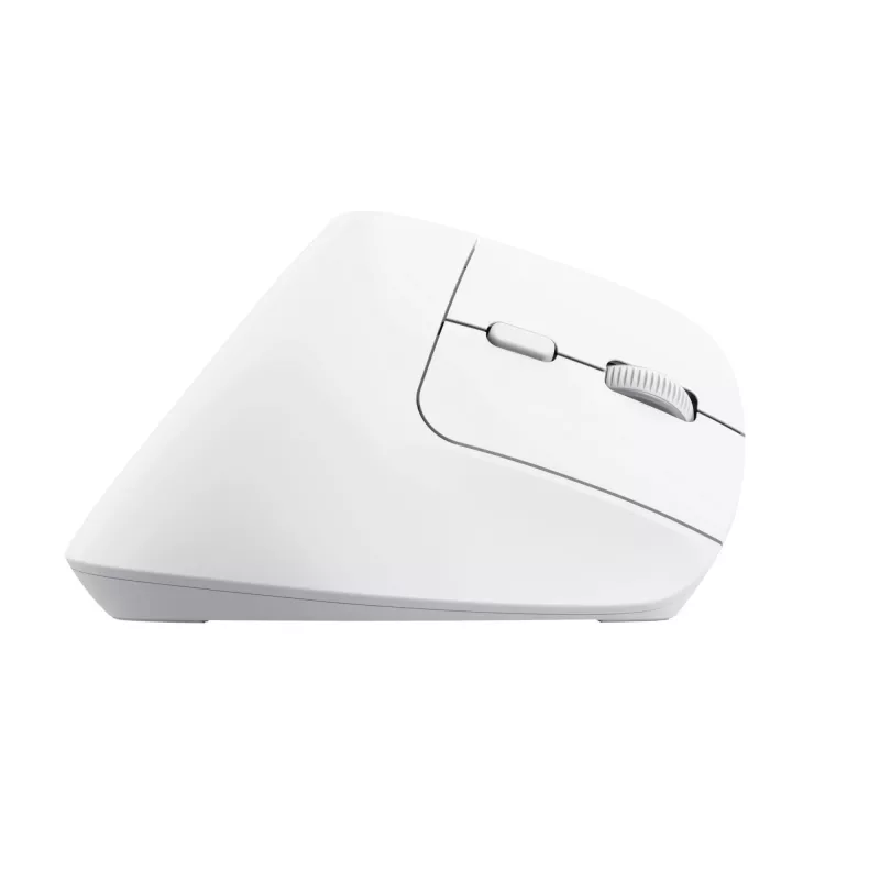 Ratón Trust Bayo+ oficina diestro RF inalámbrico + Bluetooth óptico 2400 DPI