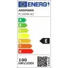 Ansmann FL100W-AC foco de trabajo con cable 100 W