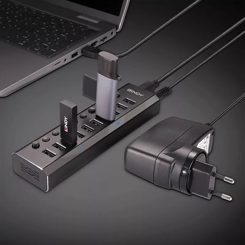 Hub USB 3.0 Lindy 10 puertos con interruptores de encendido/apagado