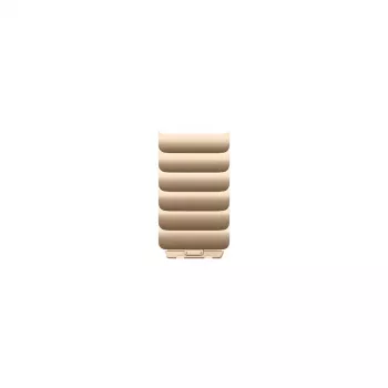 APPLE Conjunto de correa de eslabones 46 mm oro