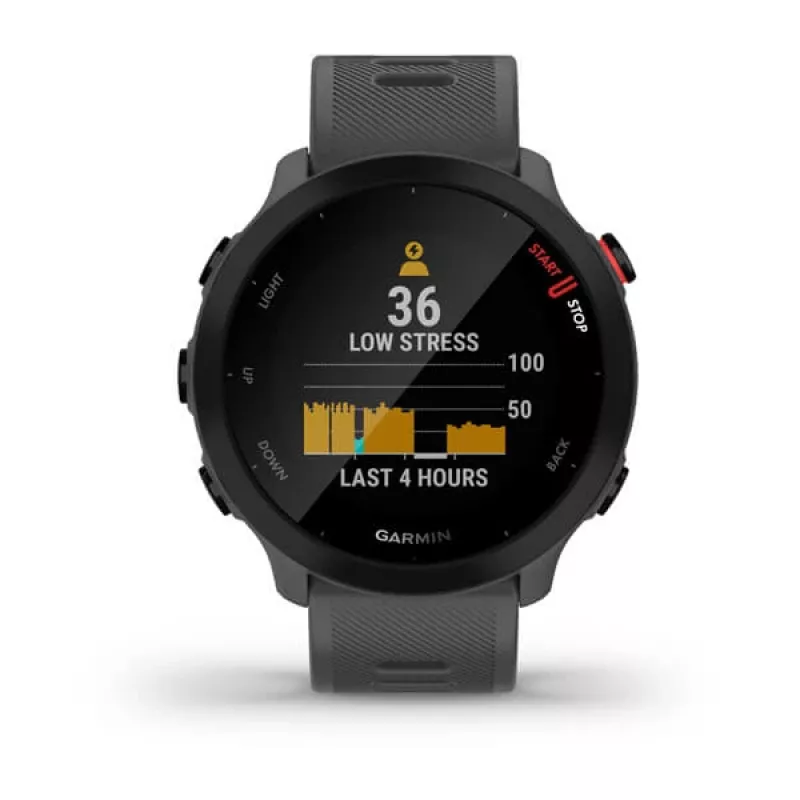 Smartwatch GARMIN Forerunner 55, caja redonda de 42 mm, gris, correa de silicona, GPS/GLONASS/Galileo, resistencia al agua 5 ATM