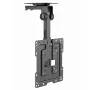 Soporte de techo para TV GEMBIRD CM-43ST-01, totalmente articulado, para televisores de 19–43 pulgadas, acero, inclinación 0–90°, giro ±45°, VESA 75×75–200×200, máx. 20 kg, negro