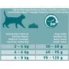 Purina ONE Adult pienso para gatos con salmón, 9,75 kg