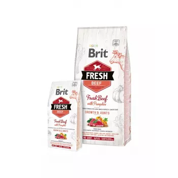 Brit Fresh Beef with Pumpkin Puppy Large Bones & Joints Comida para perros