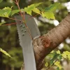 Machete de jardín Fiskars 1051236 acero inoxidable mango naranja
