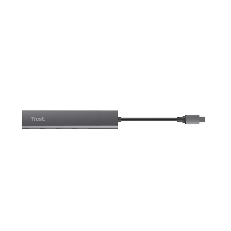 Trust Halyx USB 3.2 Gen 1 (3.1 Gen 1) Type-A 5 Mbit/s gris