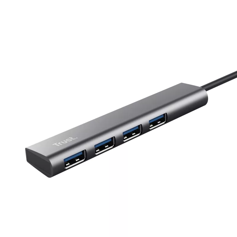 Trust Halyx USB 3.2 Gen 1 (3.1 Gen 1) Type-A 5 Mbit/s negro, gris