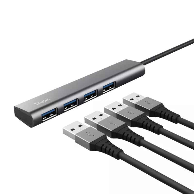 Trust Halyx USB 3.2 Gen 1 (3.1 Gen 1) Type-A 5 Mbit/s negro, gris