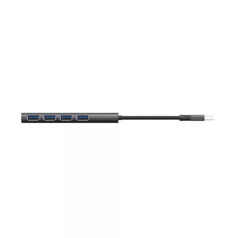 Trust Halyx USB 3.2 Gen 1 (3.1 Gen 1) Type-A 5 Mbit/s negro, gris