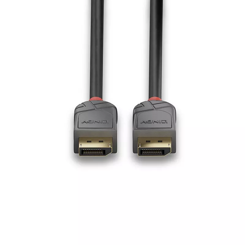 Cable DisplayPort 1.2 Lindy de 10m, Anthra Line