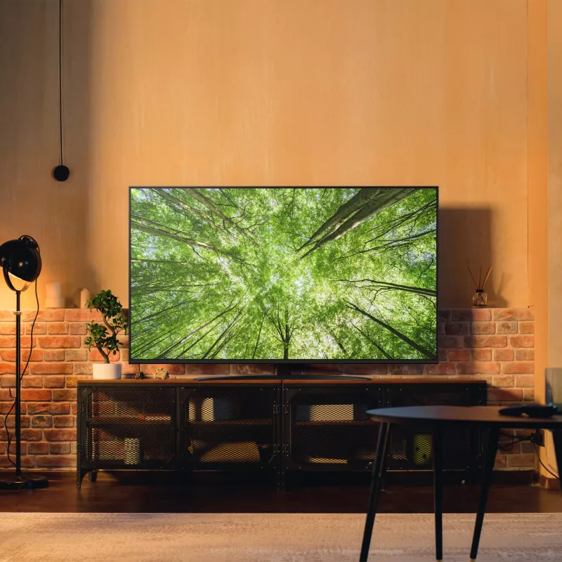 Televisor LG NanoCell 65NANO81A6A 65 inch 4K Ultra HD NanoCell, Direct-LED, webOS, HDR10, 60Hz