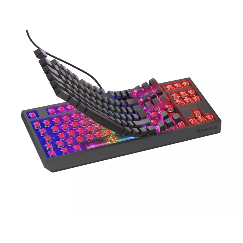 Teclado gaming GENESIS Thor 230 TKL USB QWERTY español negro