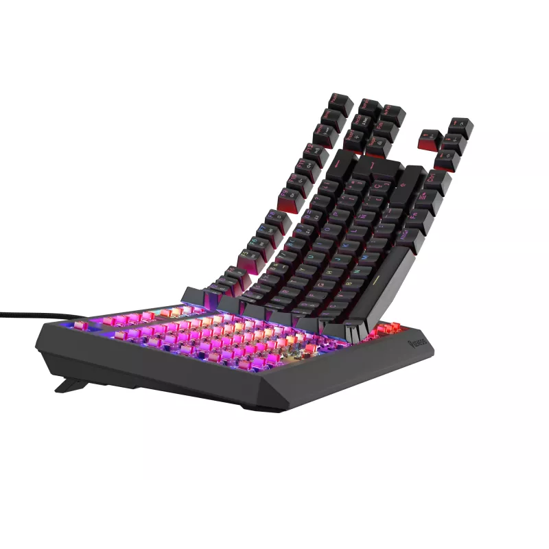 Teclado gaming GENESIS Thor 230 TKL USB QWERTY español negro