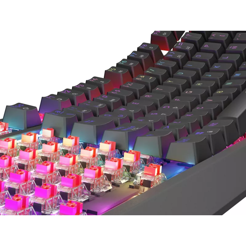 Teclado gaming GENESIS Thor 230 TKL USB QWERTY español negro