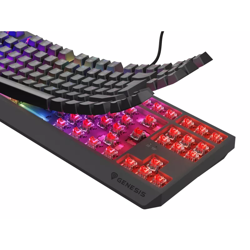 Teclado gaming GENESIS Thor 230 TKL USB QWERTY español negro