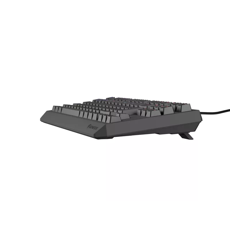 Teclado gaming GENESIS Thor 230 TKL USB QWERTY español negro