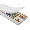 Teclado gaming GENESIS Thor 230 TKL USB QWERTY inglés US blanco