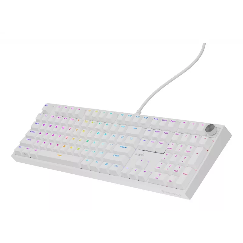 Teclado universal GENESIS NKG-2300 USB QWERTY inglés blanco