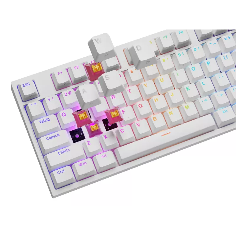 Teclado universal GENESIS NKG-2300 USB QWERTY inglés blanco
